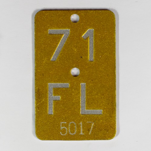 FL 1971 Y